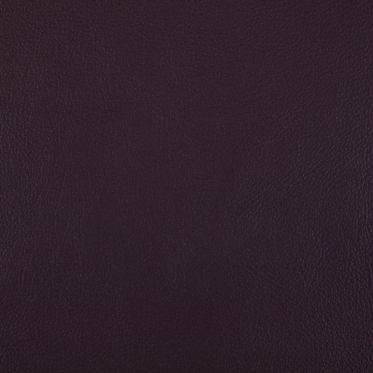 rand100-rand-plum-kravet-contract