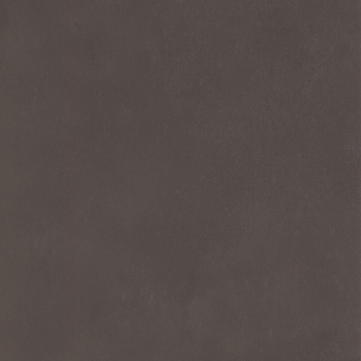 amw10059210-japan-charcoal-kravet-couture