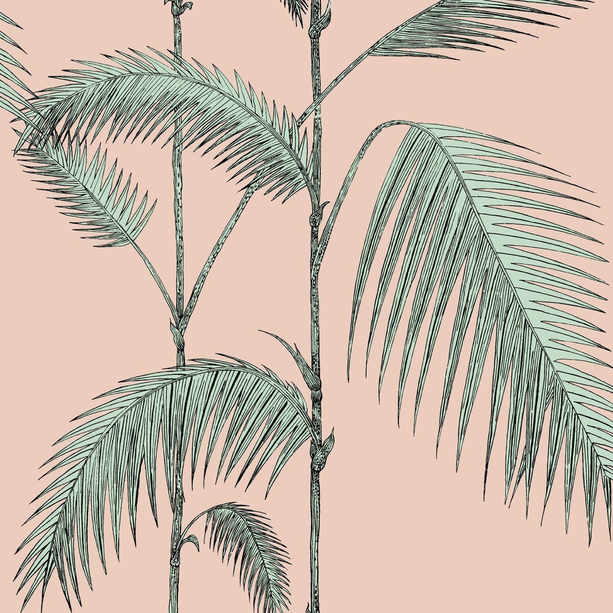 1122005cs0-palm-leaves-plaster-pinkmint-cole-son