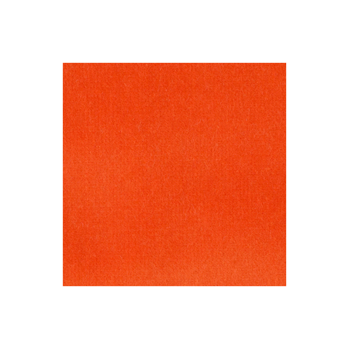 33062120-velvet-treat-orange-kravet-couture