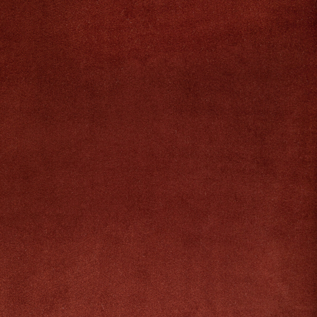 366526240-rocco-velvet-clay-kravet-contract