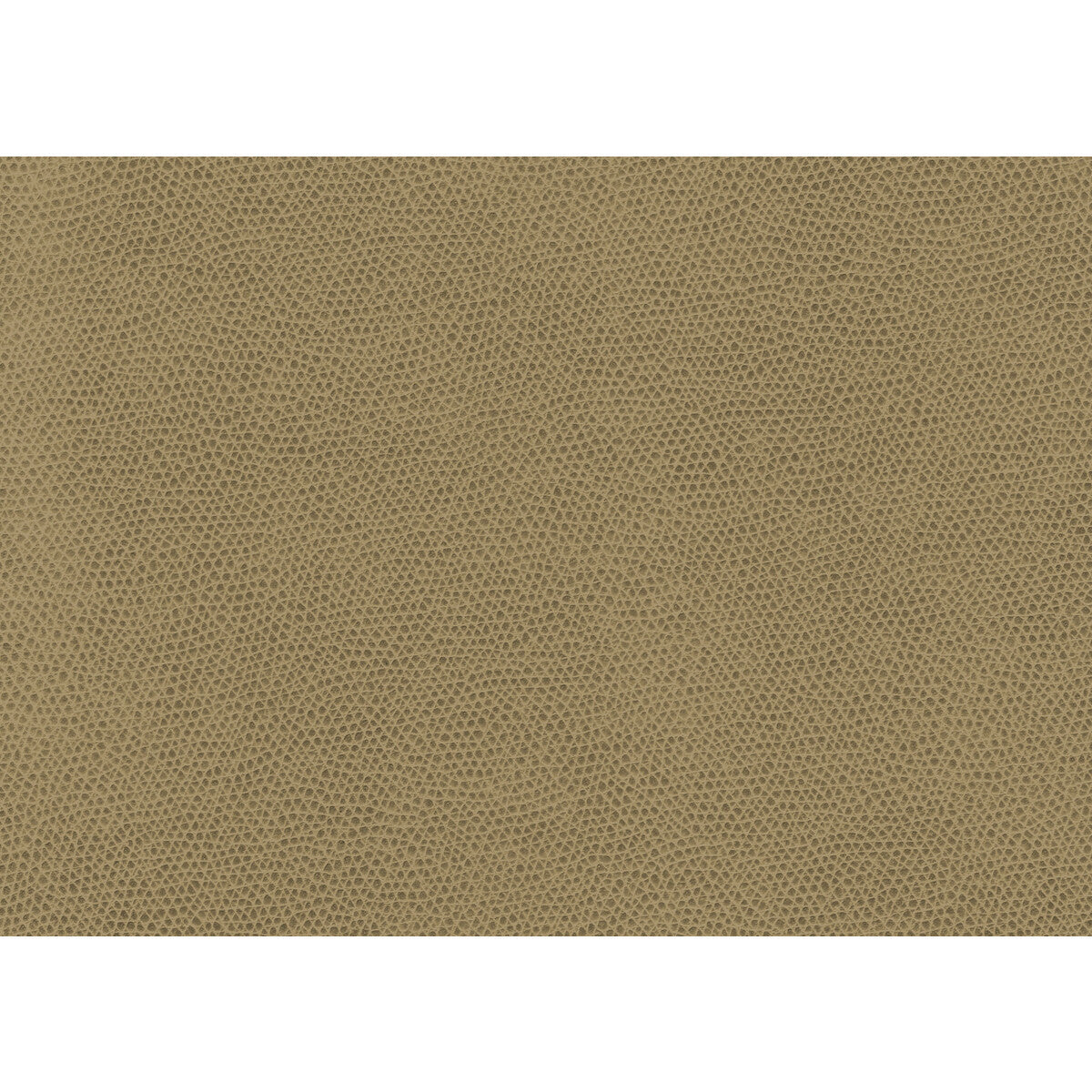 ophidian160-ophidian-wheat-kravet-contract