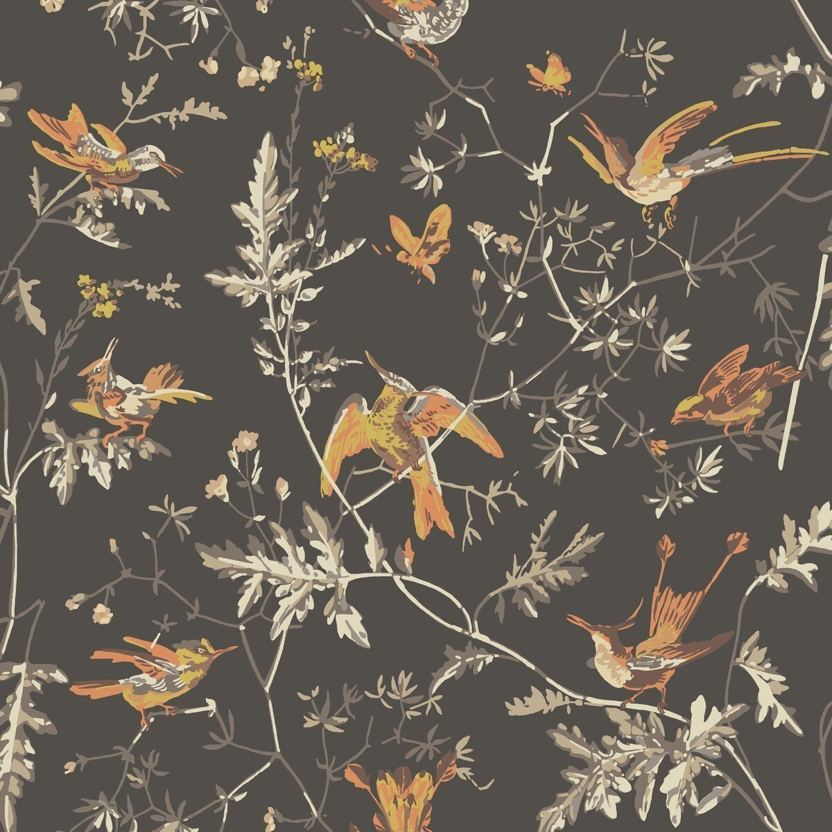 1124017cs0-hummingbirds-charcoalginger-cole-son