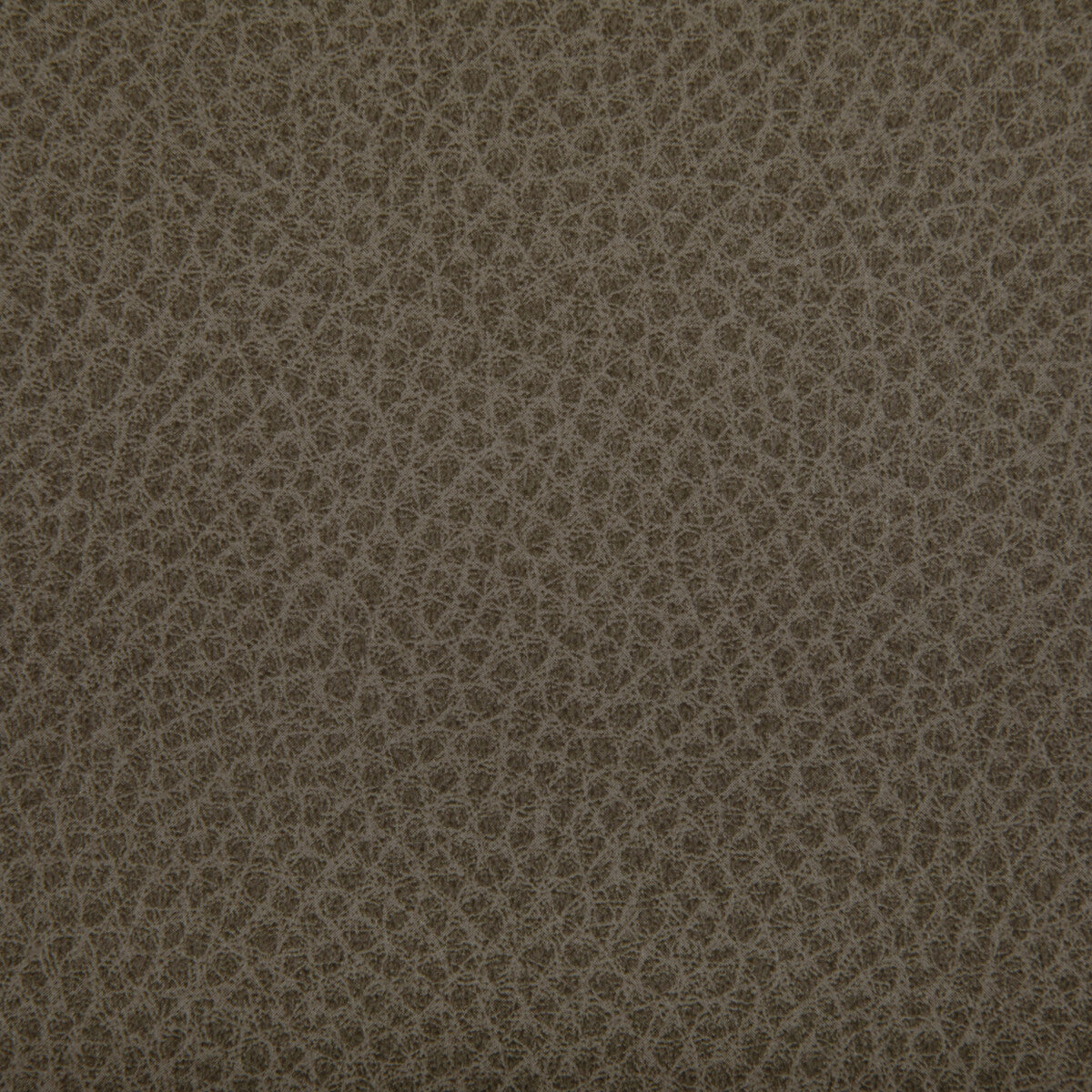 woolf1060-woolf-etruscan-kravet-contract