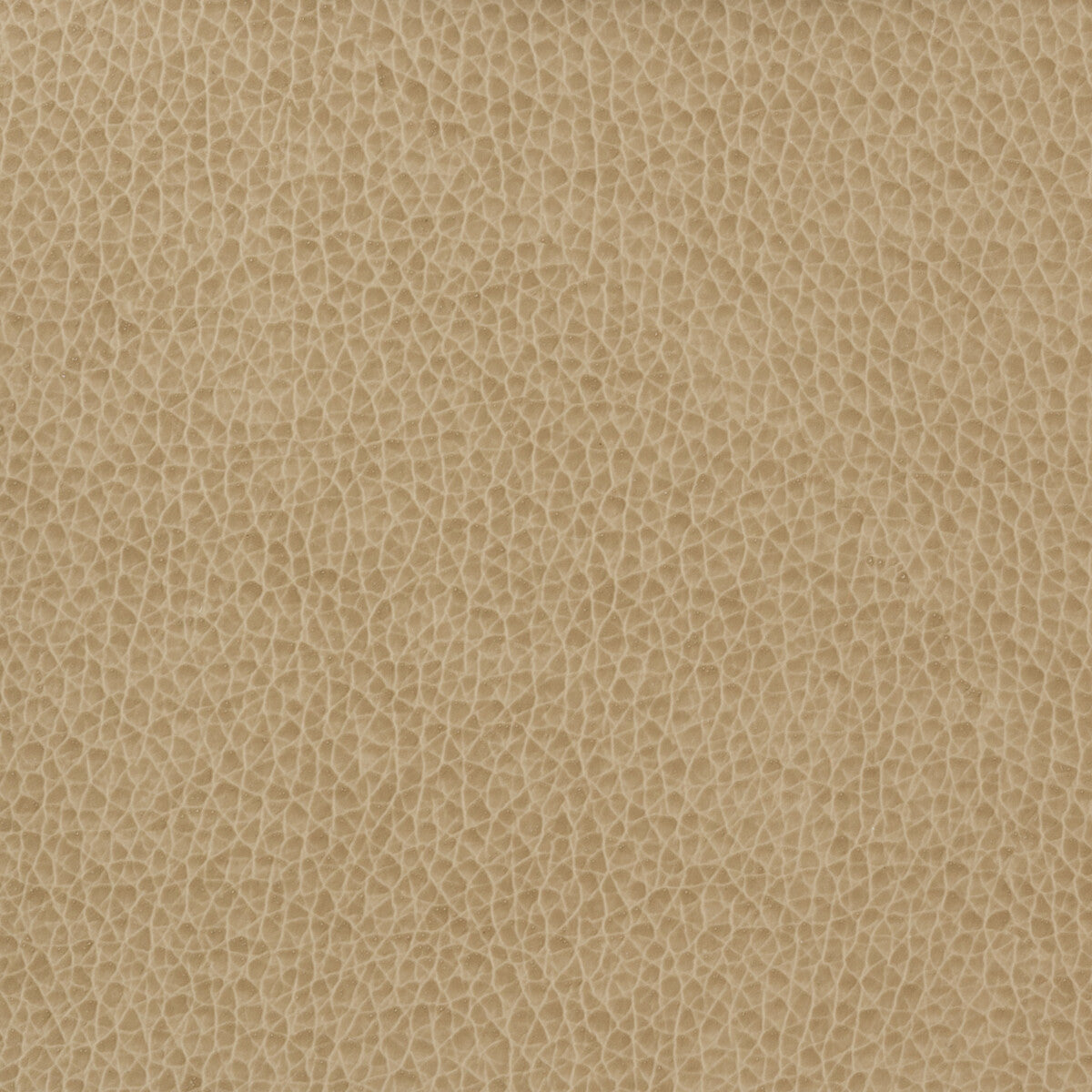 matter16160-kravet-basics-matter-1616