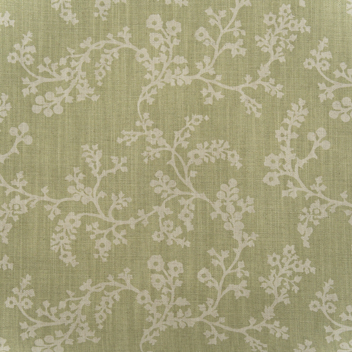 am1004511230-vine-fennel-kravet-couture