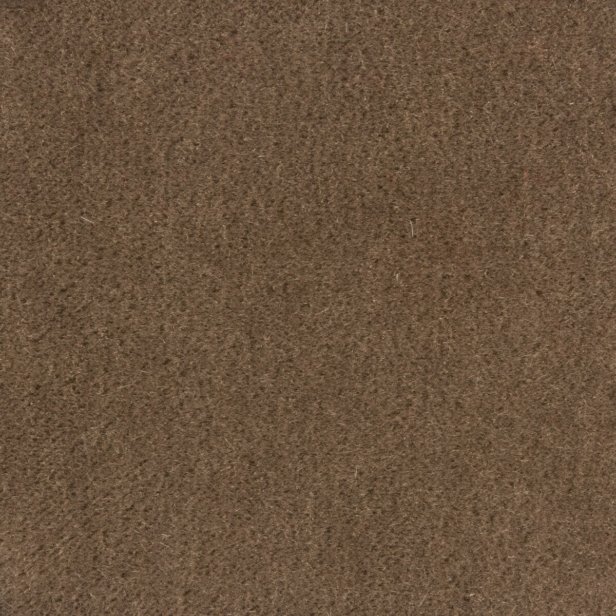 801410111100-bachelor-mohair-ash-brunschwig-fils