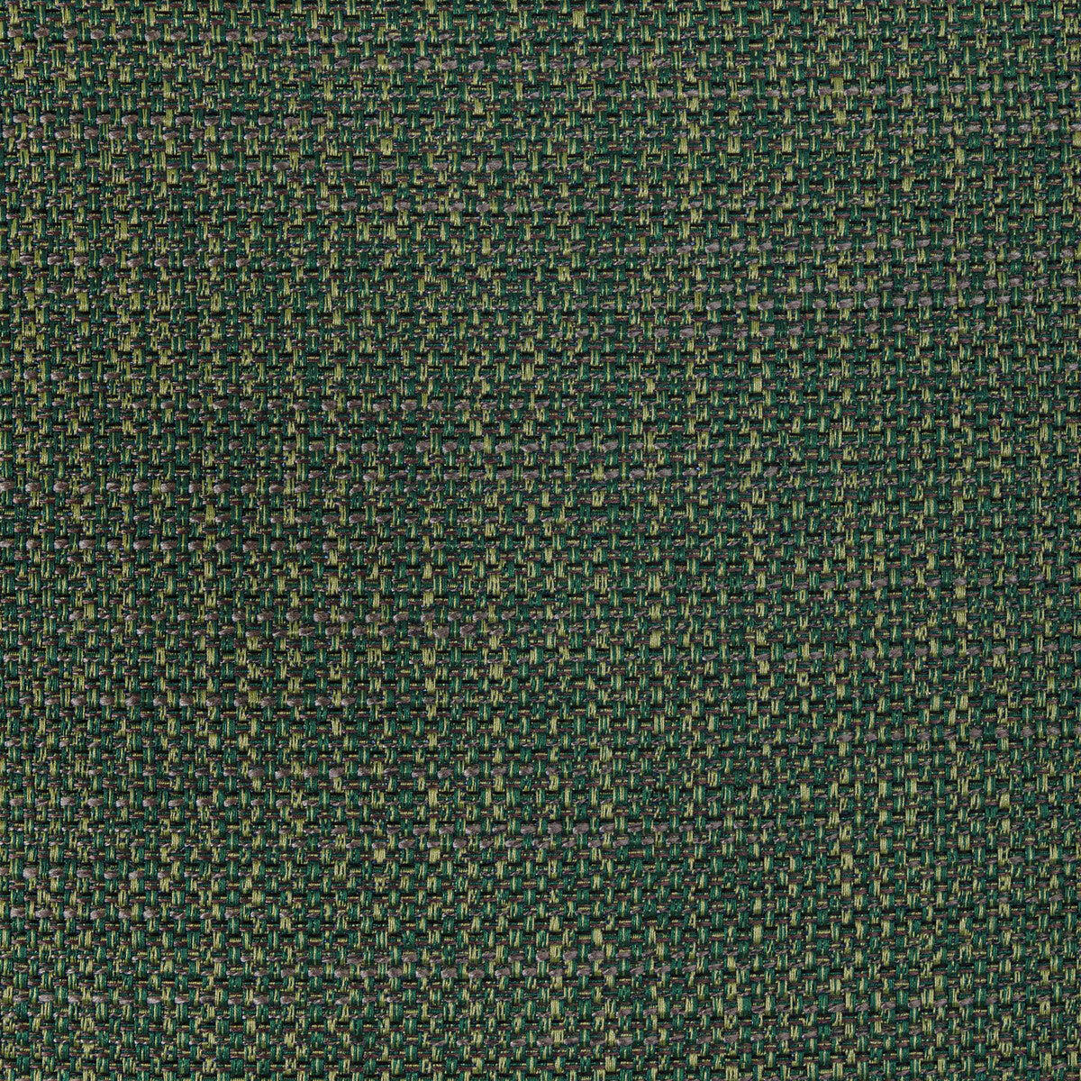 49473110-luma-texture-forest-kravet-contract