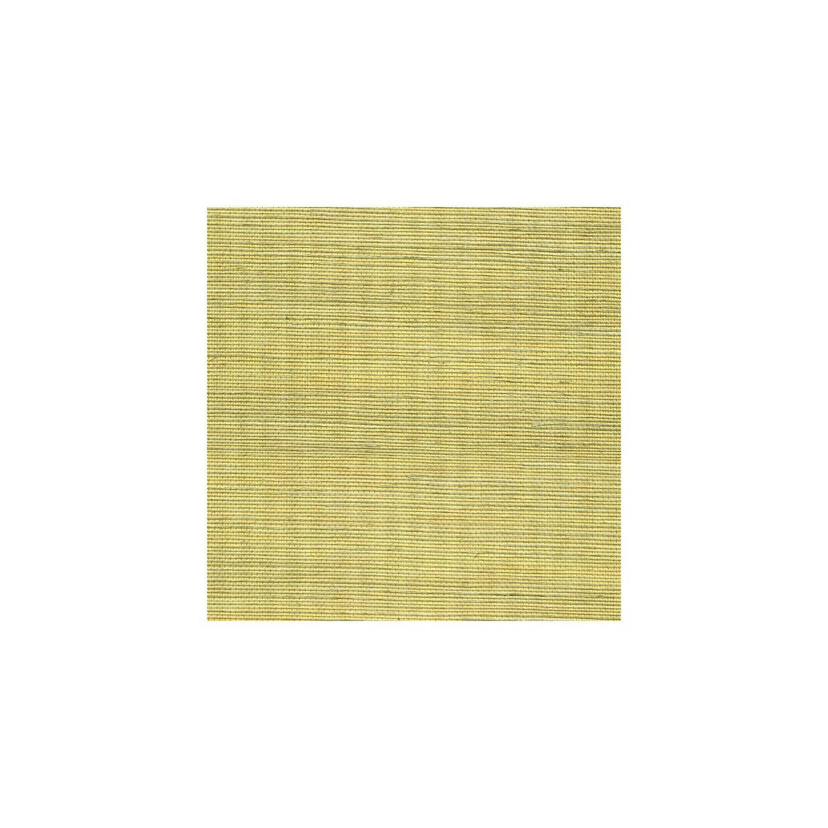 wss4528wt0-metallic-sisal-lemon-grass-winfield-thybony