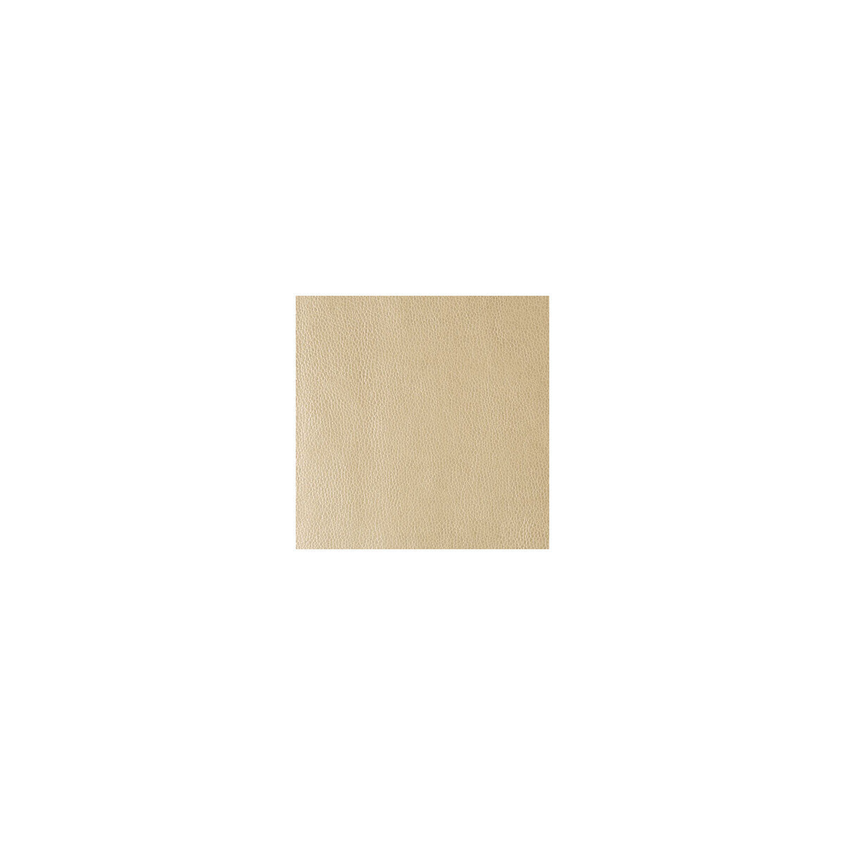 kerinci1160-kerinci-gold-dust-kravet-design