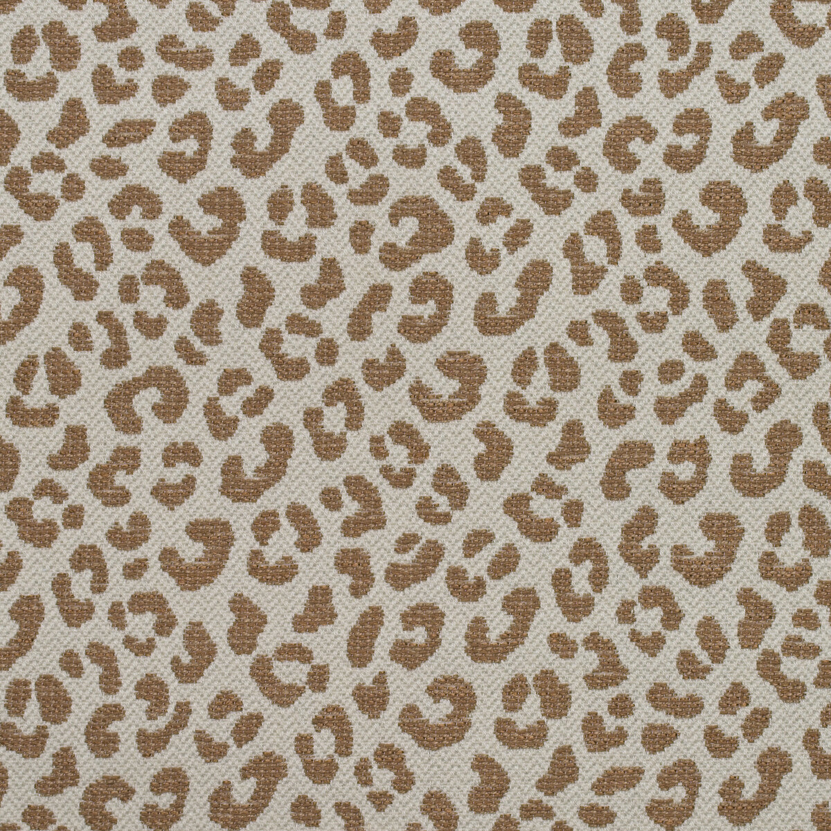 am1004006240-wildcat-autumn-kravet-couture