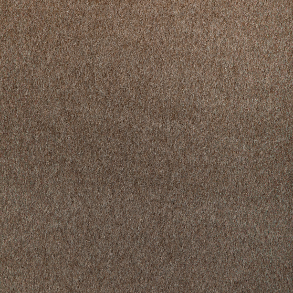 3687260-alpaca-drift-umber-kravet-couture