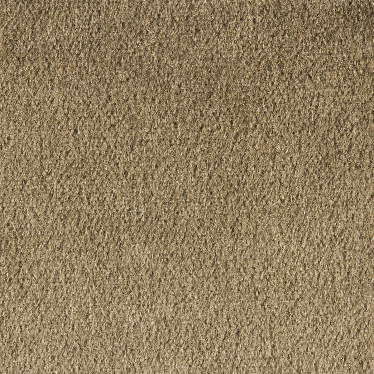 342598810-plazzo-mohair-lead-kravet-couture