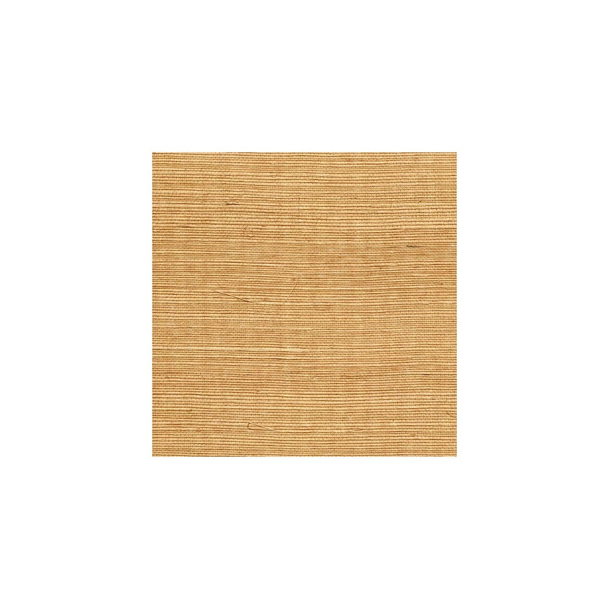 wss4544wt0-sisal-butterscotch-winfield-thybony