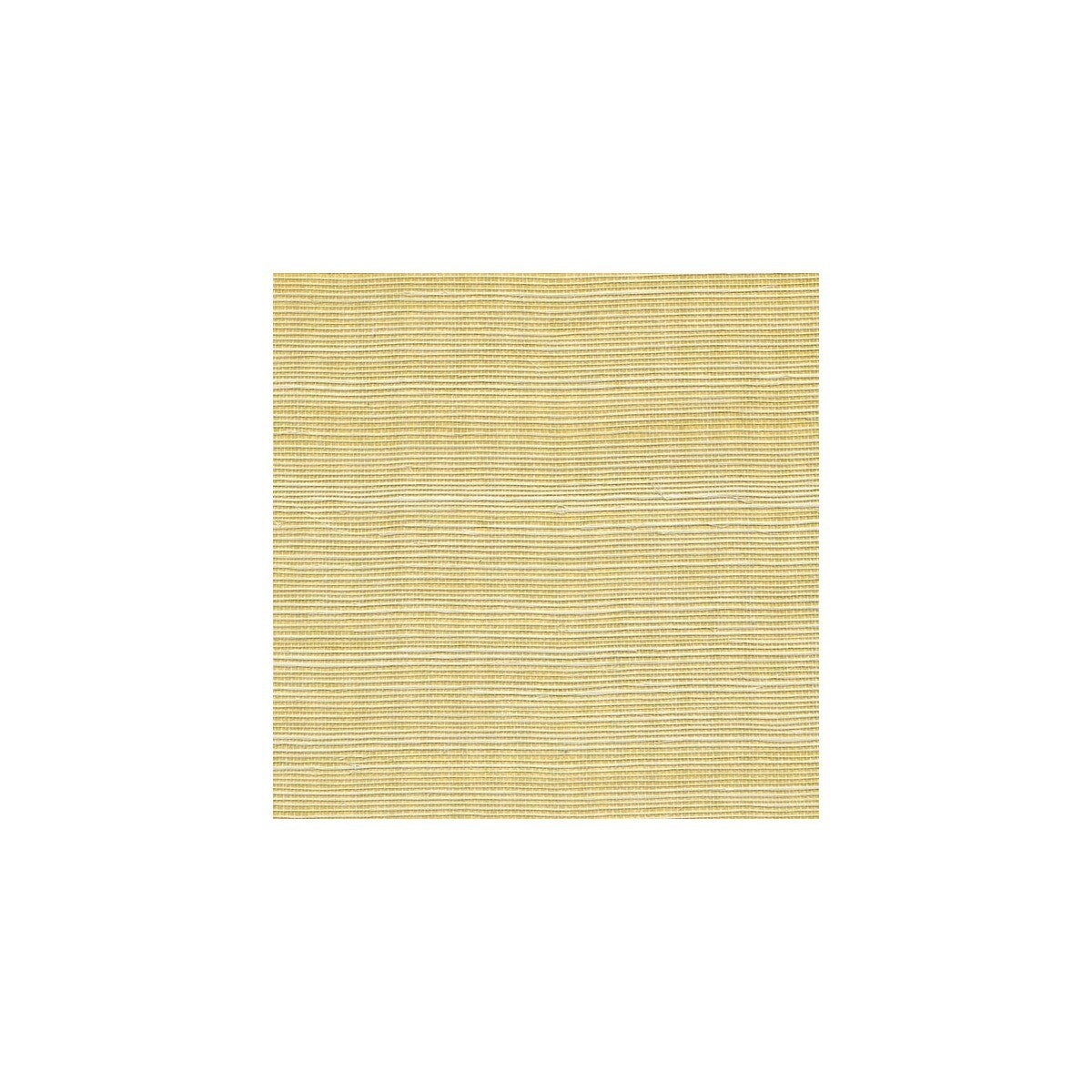 wss4520wt0-metallic-sisal-glistening-ore-winfield-thybony