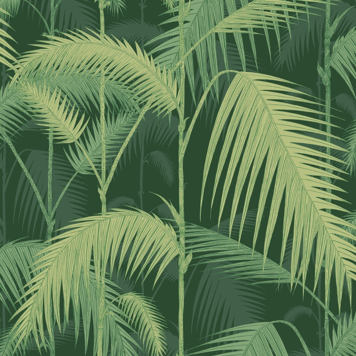 1121003cs0-palm-jungle-leaf-green-cole-son