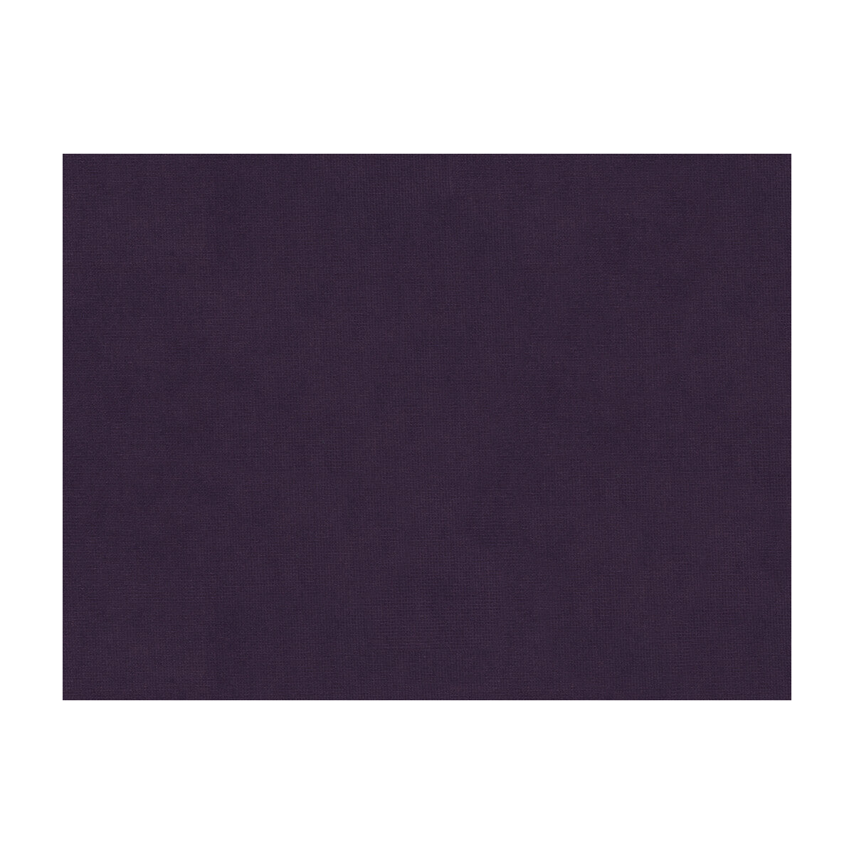 801315010100-charmant-velvet-violet-brunschwig-fils