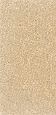 nuostrich11160-nuostrich-putty-kravet-basics