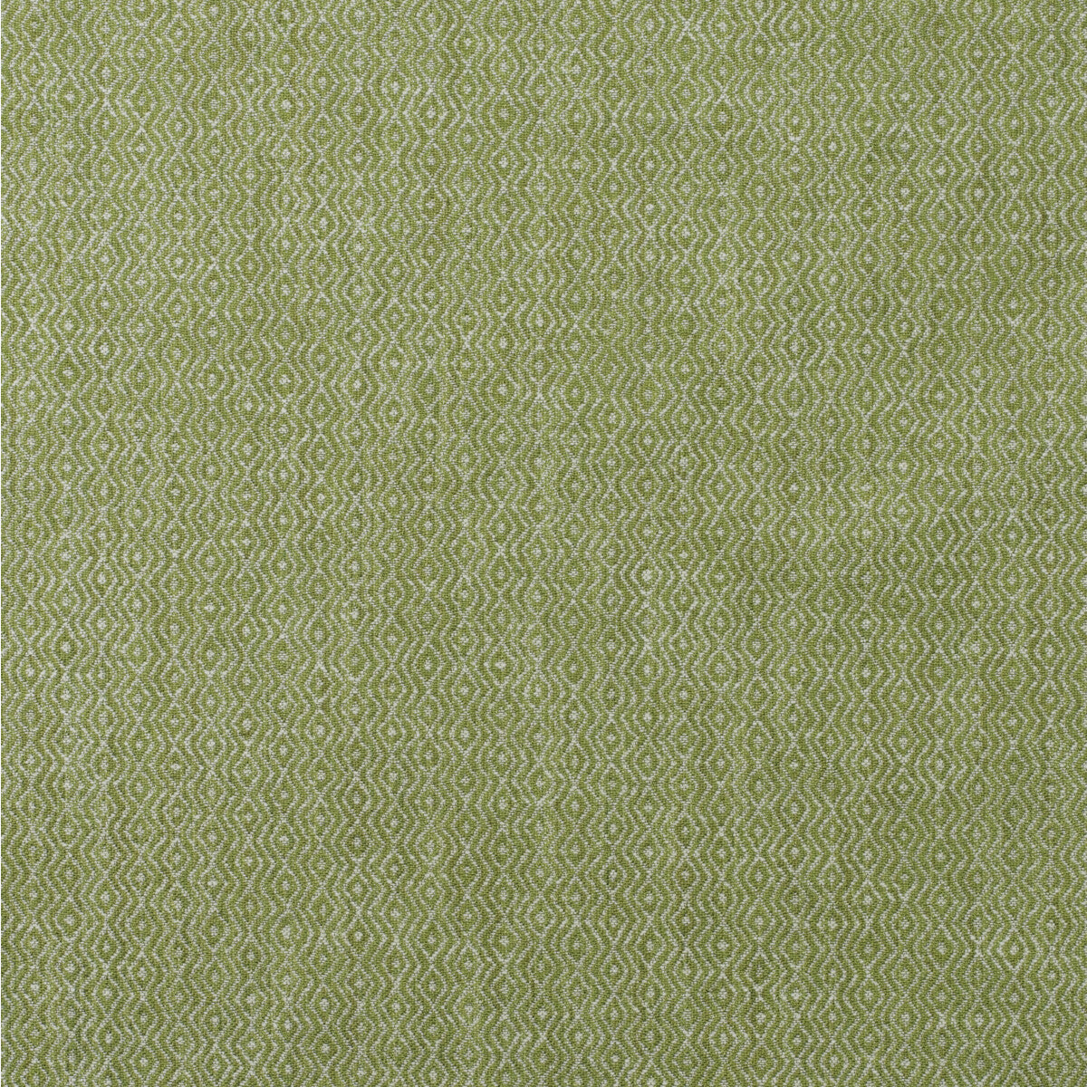 am1004373160-riverbank-reed-kravet-couture