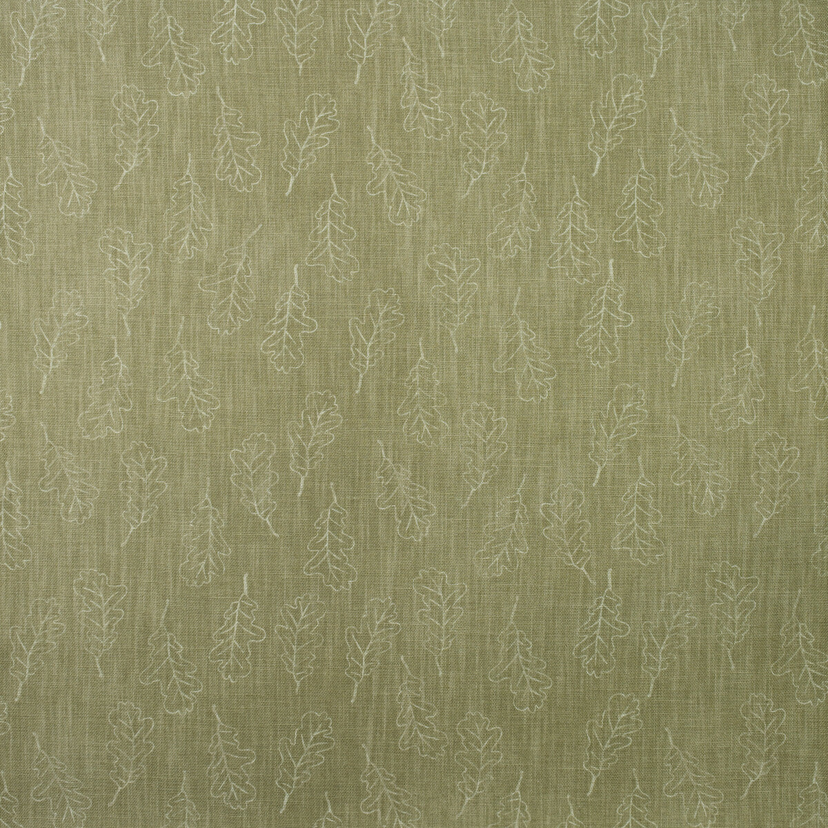 am10039830-noble-oak-lichen-kravet-couture