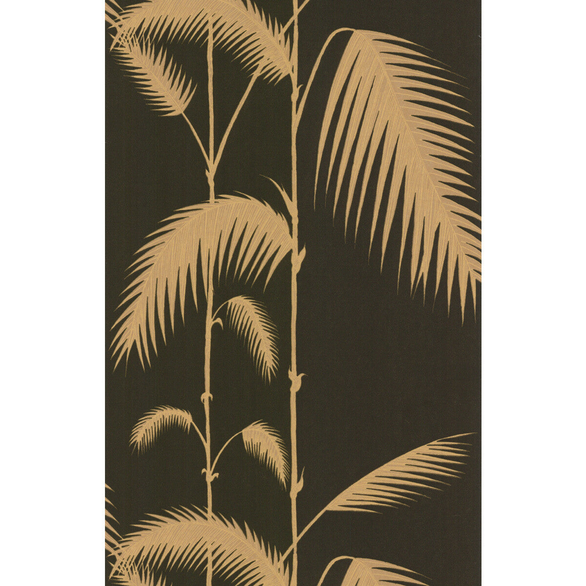 662014cs0-palm-leaves-blackt-cole-son