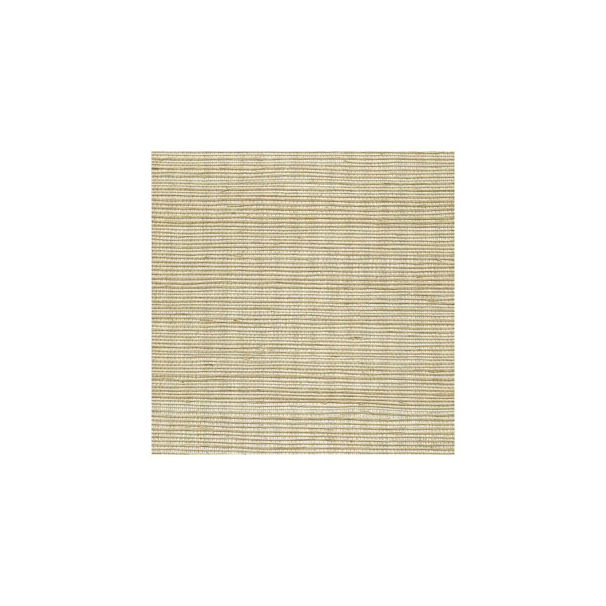 wss4510wt0-metallic-sisal-silvery-beige-winfield-thybony