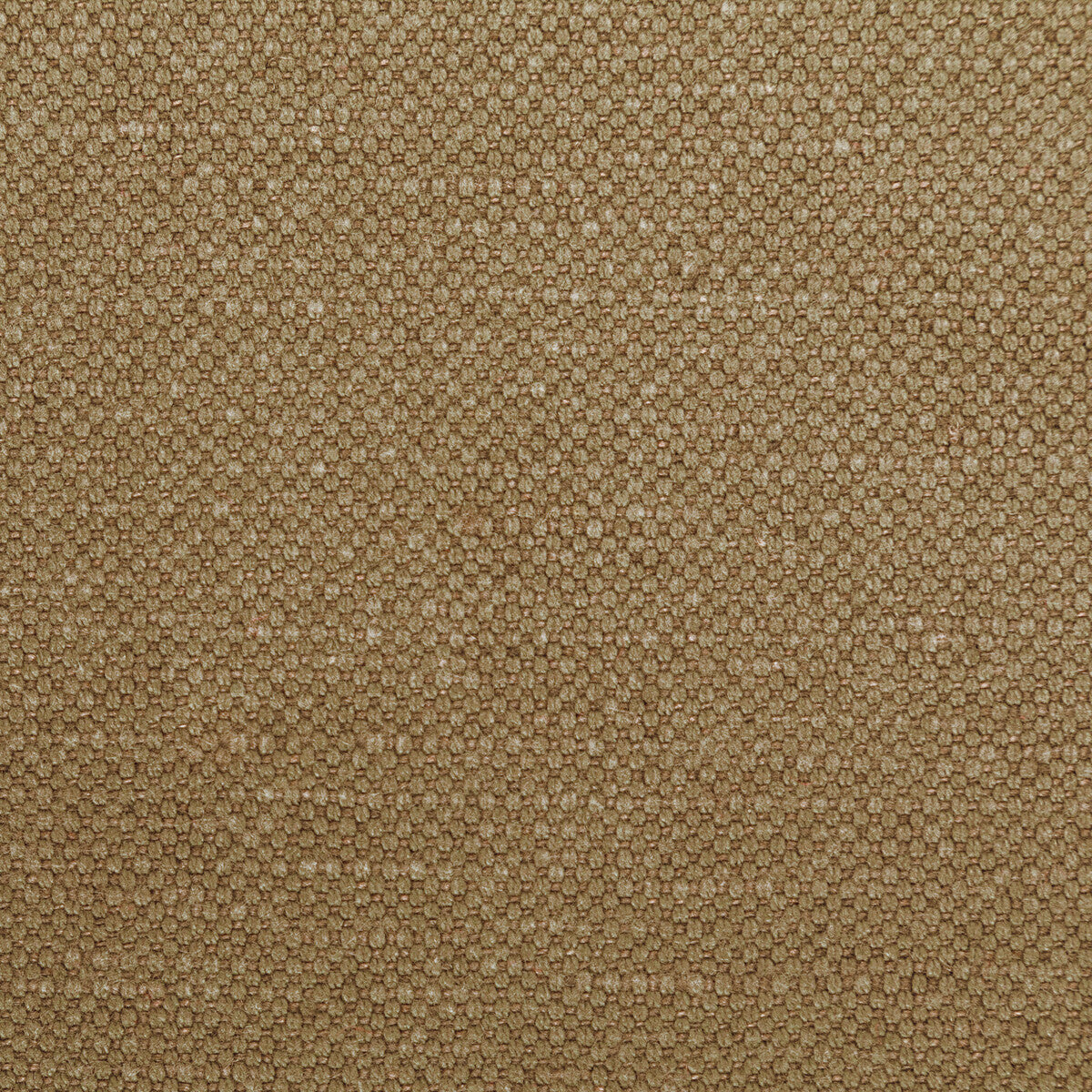 362826300-carson-deer-kravet-basics