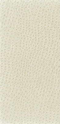 nuostrich1110-kravet-basics-nuostrich-111