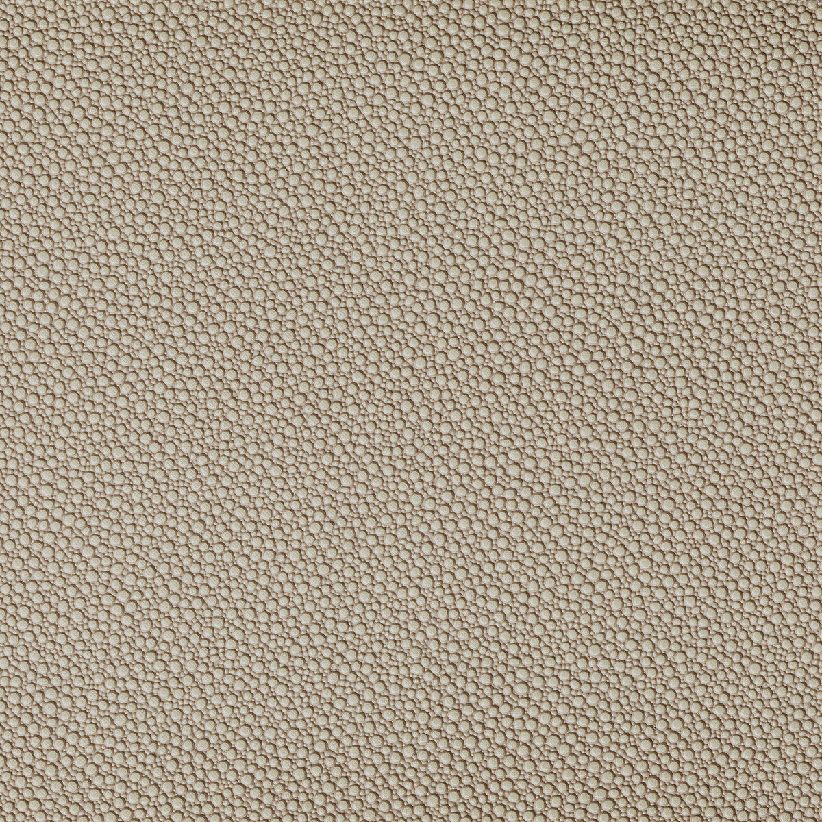 fetch16160-fetch-stone-kravet-contract