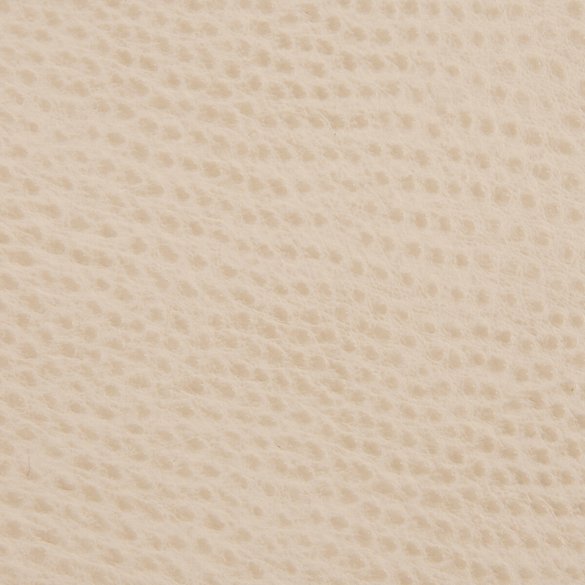 belus160-kravet-contract-belus-16-kravet-contract