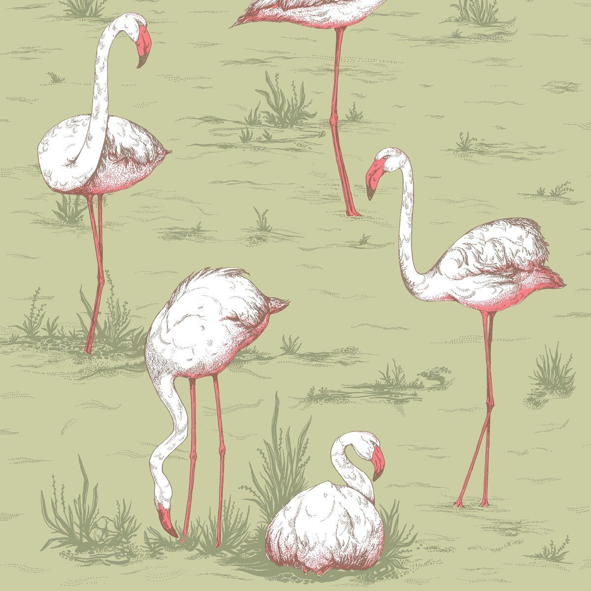 11211038cs0-flamingos-olive-cole-son