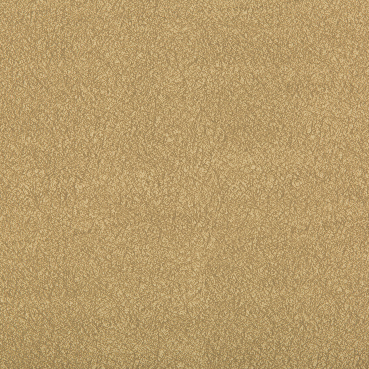 ames14160-ames-sandalwood-kravet-contract