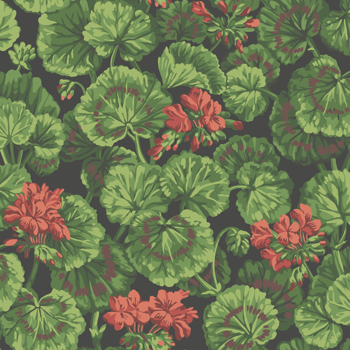 11711033cs0-geranium-rouge-leaf-greens-on-black-cole-son