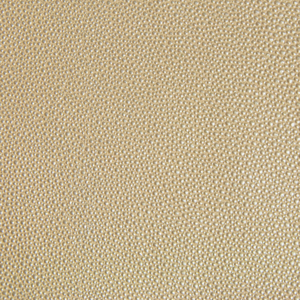 trezzo160-kravet-design-trezzo-16-kravet-design