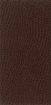 nuostrich60-kravet-basics-nuostrich-6