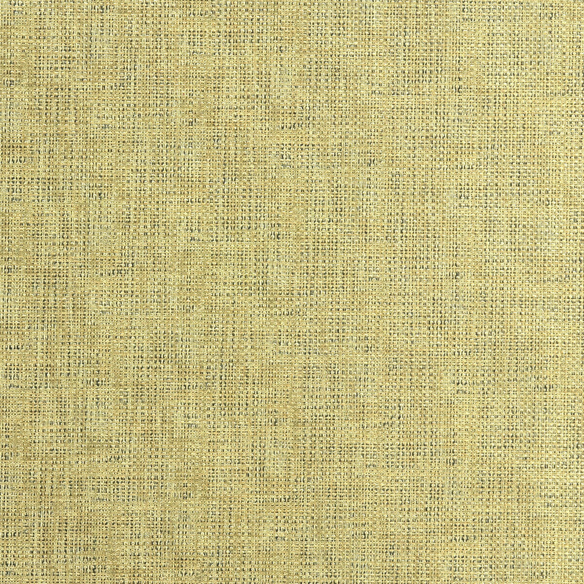 etching4040-etching-gold-kravet-couture