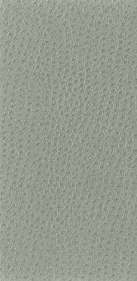 nuostrich110-kravet-basics-nuostrich-11