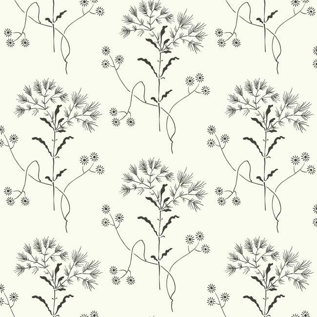 wildflower-premium-peel-stick-wallpaper-black-on-white-york-wallcoverings-psw1153rl