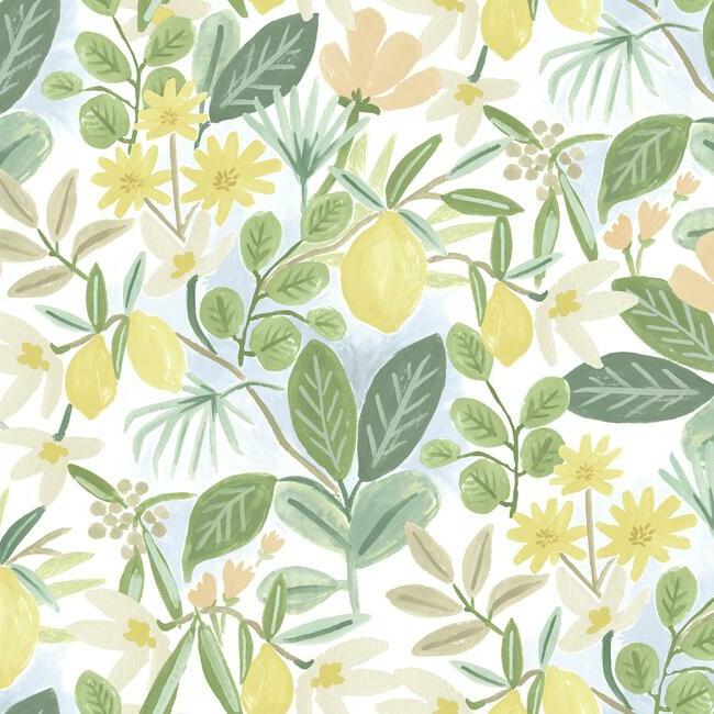 amalfi-premium-premium-peel-stick-wallpaper-blush-and-green-york-wallcoverings-psw1319rl