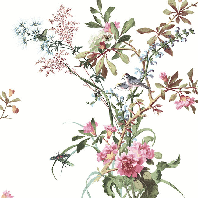 York Wallpaper PSW1366RL Wild Flowers