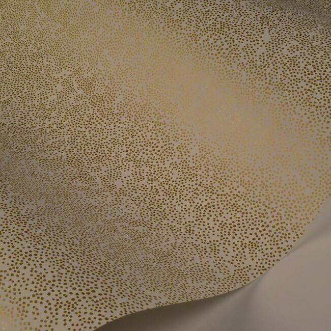 champagne-dots-wallpaper-gold-white-york-wallcoverings-ri5112