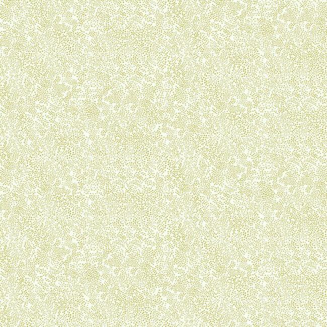 Champagne Dots Wallpaper - Gold & White - York Wallcoverings - RI5112