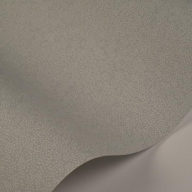 champagne-dots-wallpaper-mineral-york-wallcoverings-ri5114