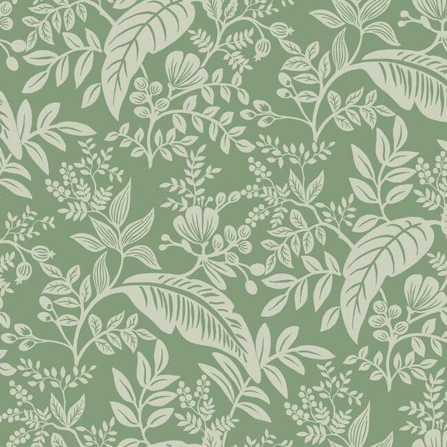 Canopy Wallpaper - Sage - York Wallcoverings - RI5140