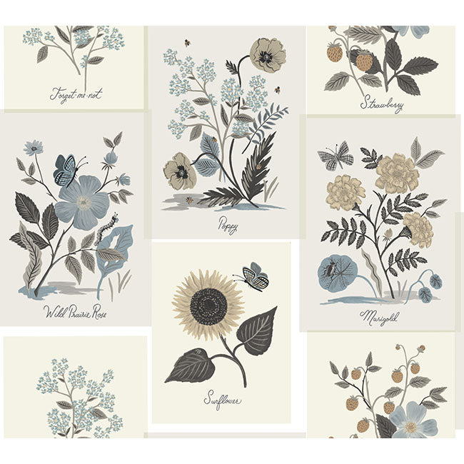 York RP7336 Botanical Prints Wallpaper