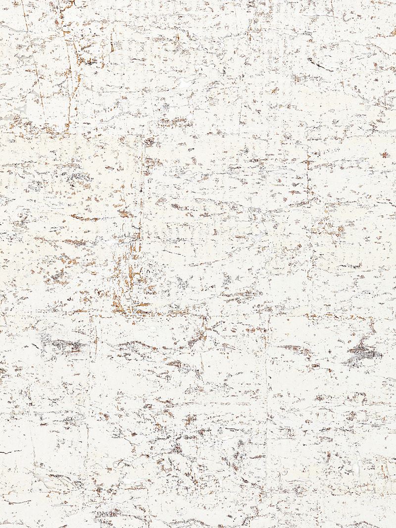 Scalamandre Wallpaper SC 0001WP88336 Metal Cork White Birch