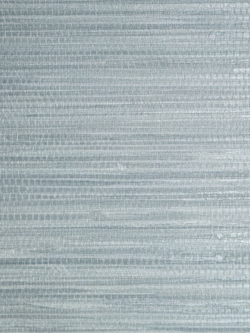 Scalamandre Wallpaper SC 0012WP88438 Pampas Chambray