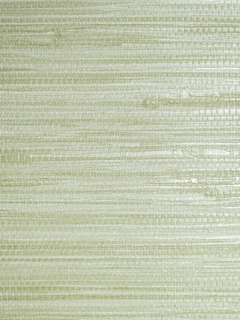 Scalamandre Wallpaper SC 0014WP88438 Pampas Seagrass