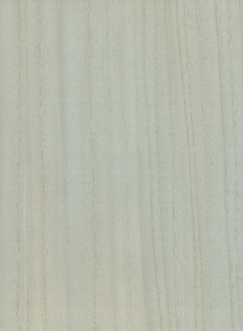 Scalamandre Wallpaper SC 0020WP88478 Woodgrain Willow