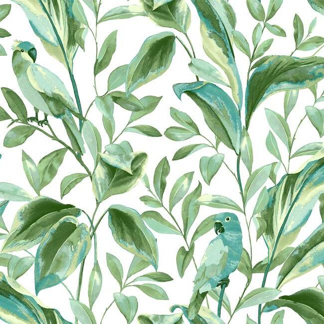 Tropical Love Birds Wallpaper - White/Aqua - York Wallcoverings - TC2654